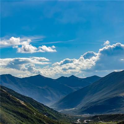 散人天下游戏(暂未上线)v1.1 安卓版
